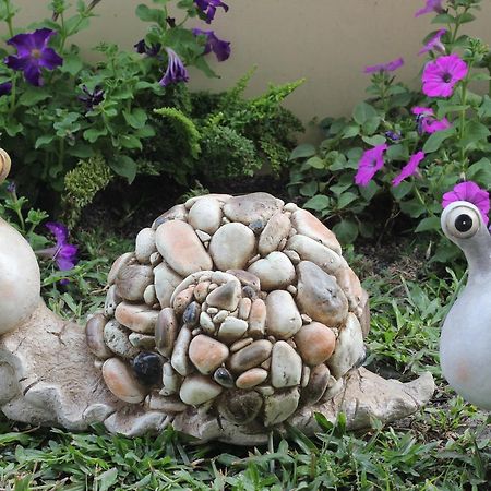 Taomilu B&B Puli Bagian luar foto